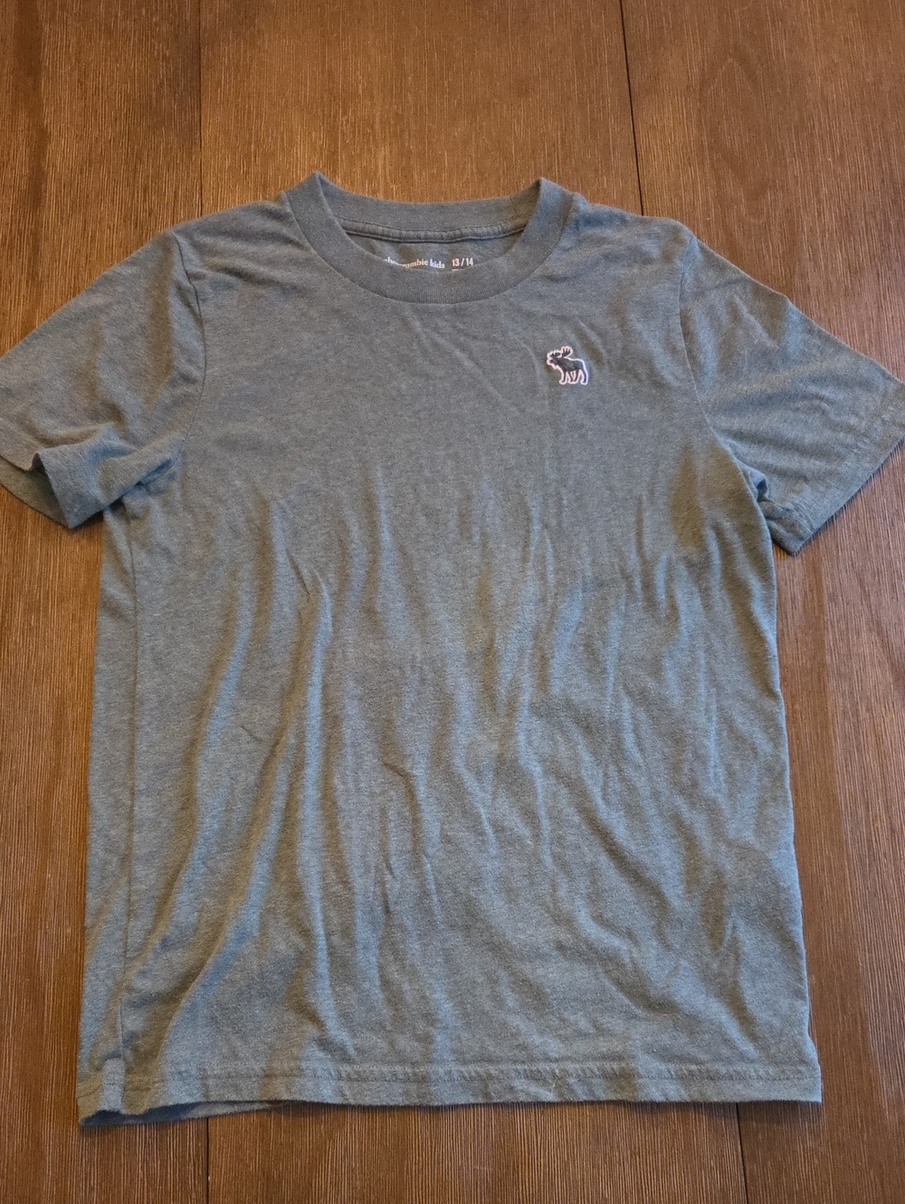 Abercrombie Kids Crew Neck T-Shirt Tee Boys Sz 13 / 14 Stormy Sea Green